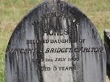 image of grave number 651651
